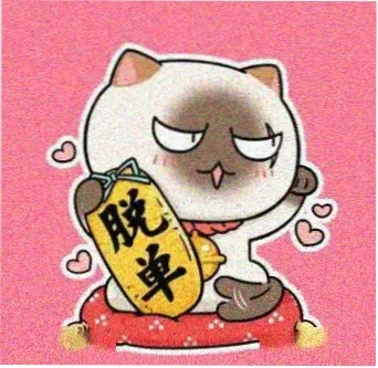 追剧每一天